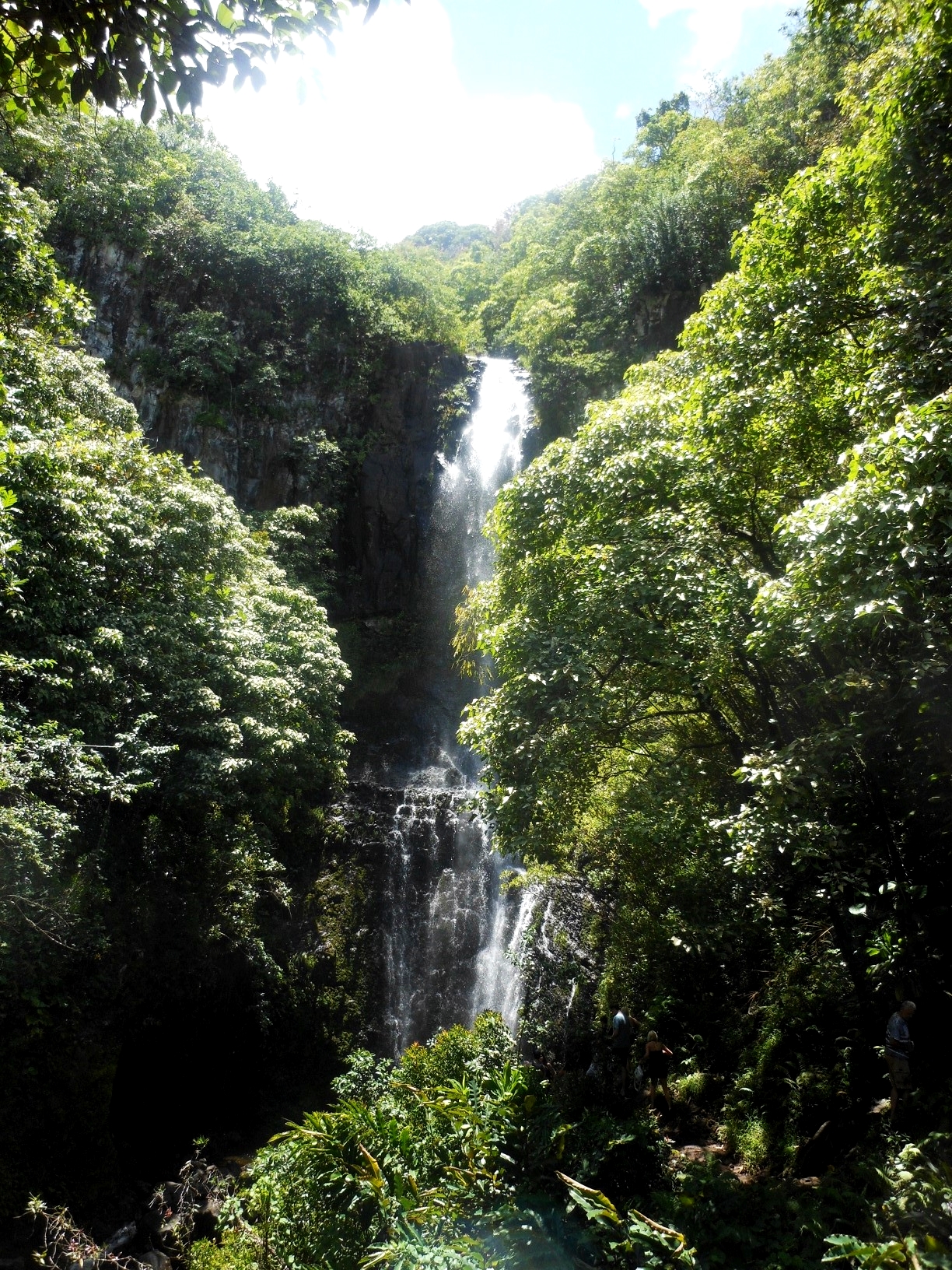 Cheerful Waterfall in Hawaii