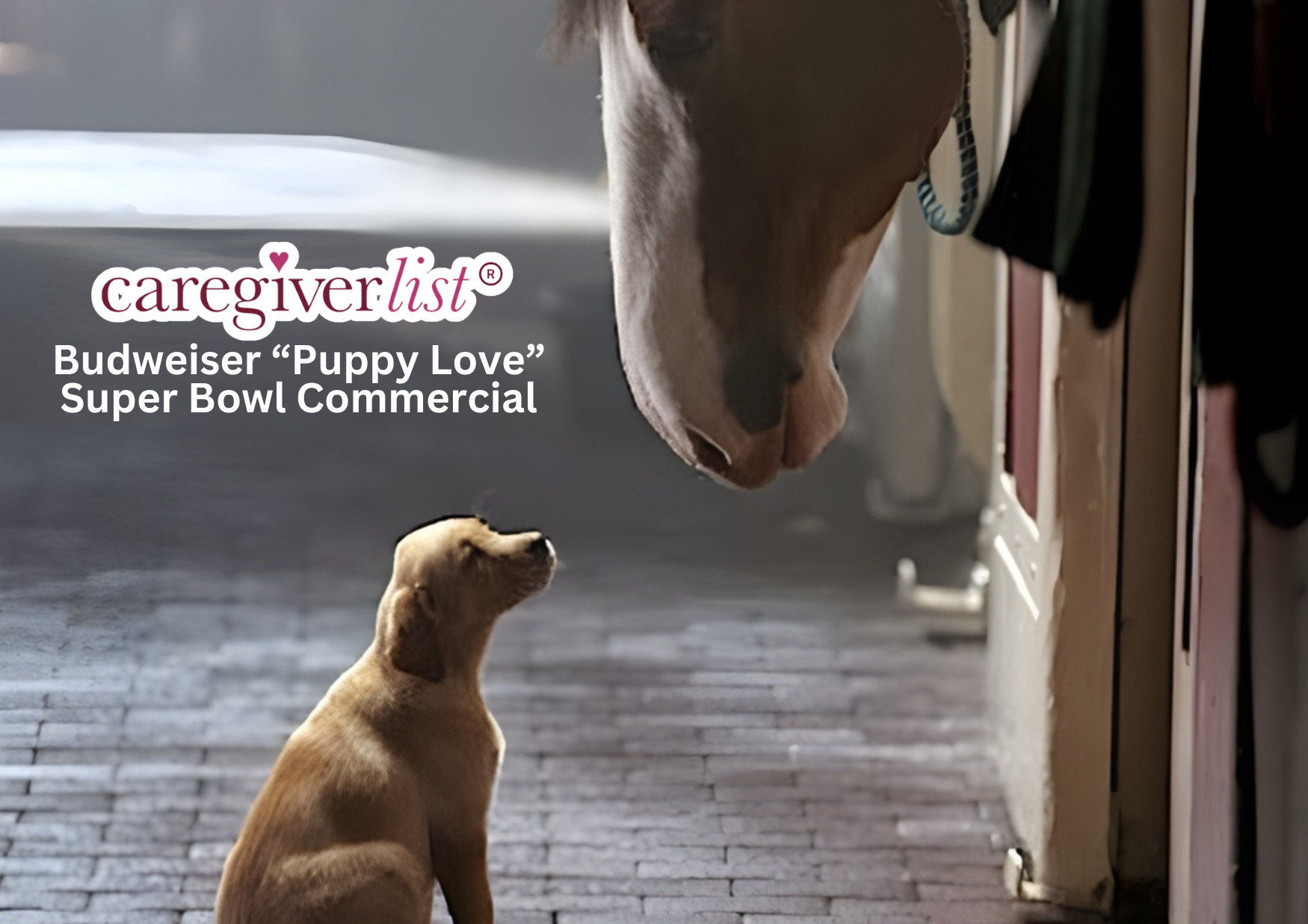 conversation-starter-superbowl