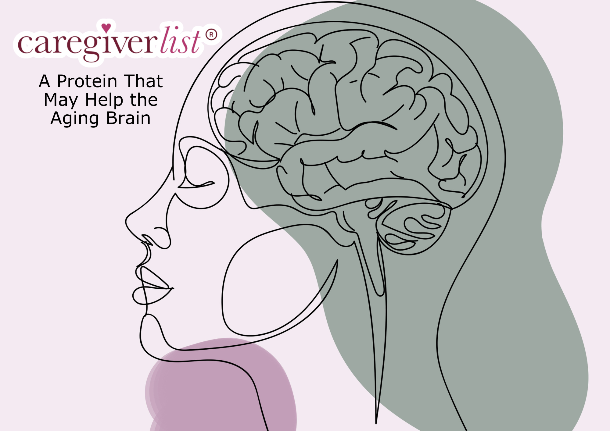 a-protein-that-may-help-the-aging-brain